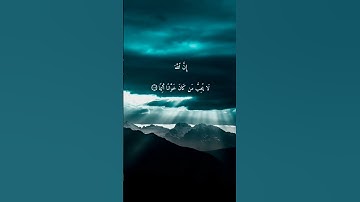 سورة النساء { ١٠٦ _ ١٠٨ } #ياسر_الدوسري #quran #استغفر_الله #انشر_تؤجر