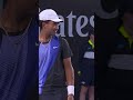 Bird STOPS play! 🦅