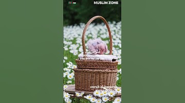 سوره بقره 260 داستان دلخراش حضرت ابراهیم و خداوند متعال #قرائت قرآن