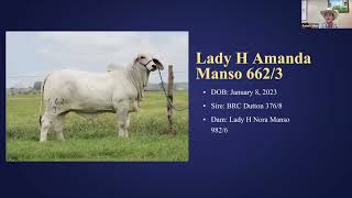 2024 Brahman Country Genetics Female Sale - Sale Preview