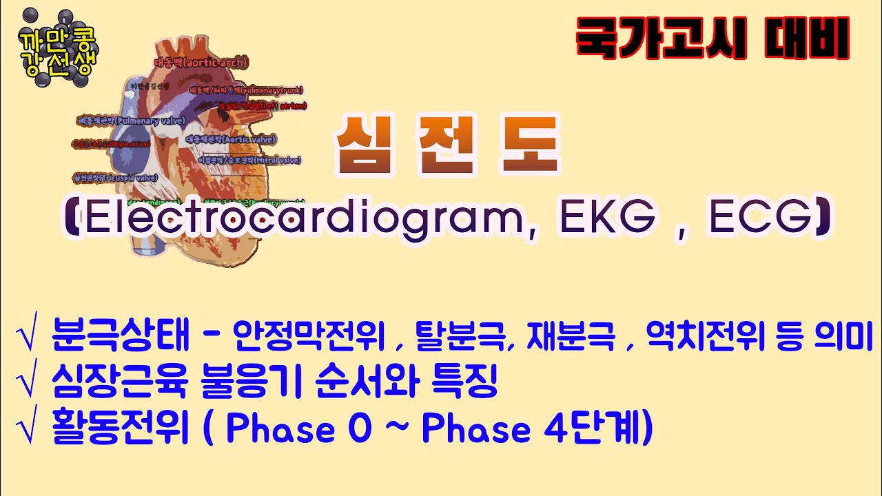심전도 / 해부생리 / 심전도 검사 / 심전도 국가고시 문제 / 임상 병리 국가 고시 / 간호학과 / 심전도 해석 /