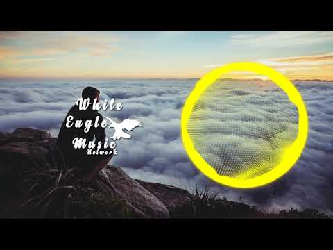 Jaks Wilson, ALESH, notfromvenus - Vision
