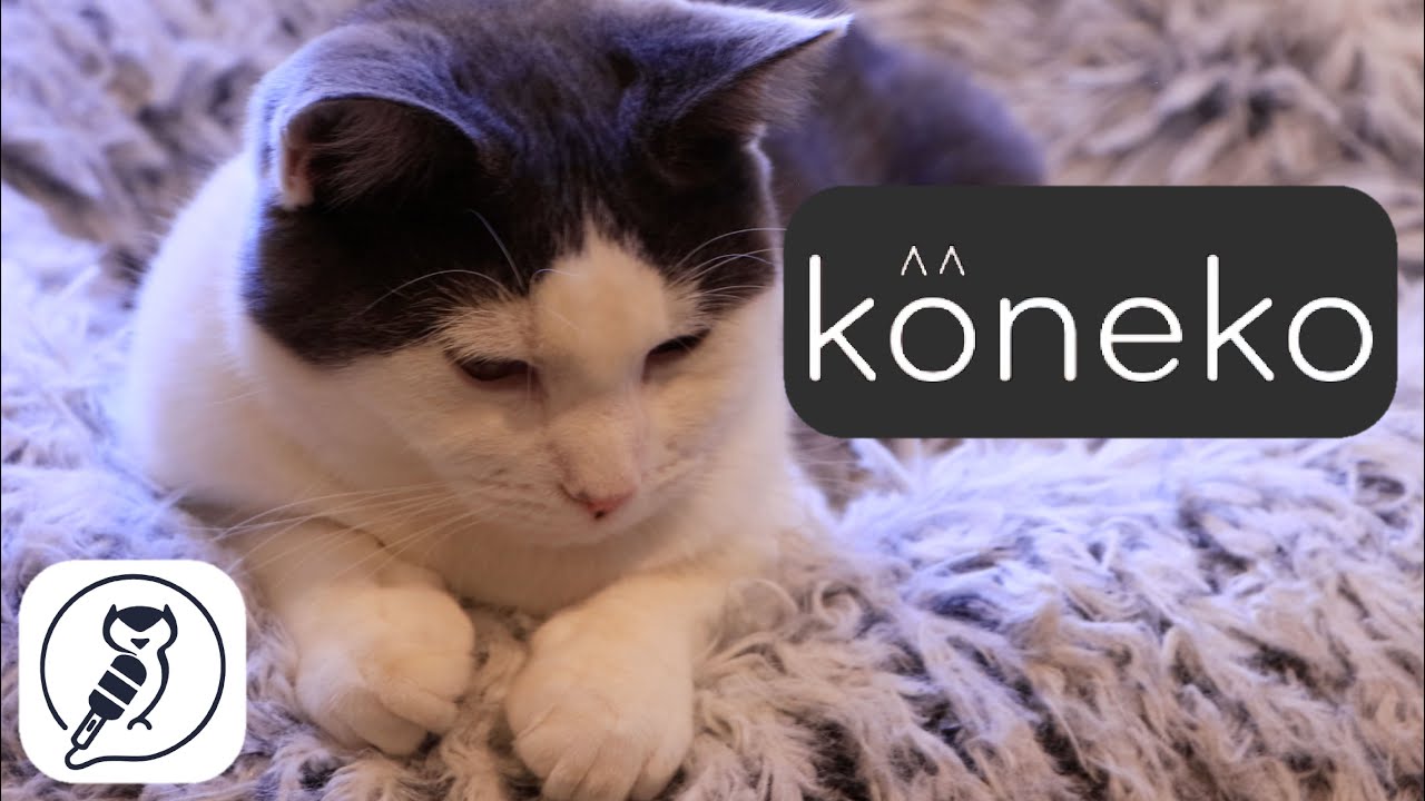 Adopt — Koneko Cat Cafe