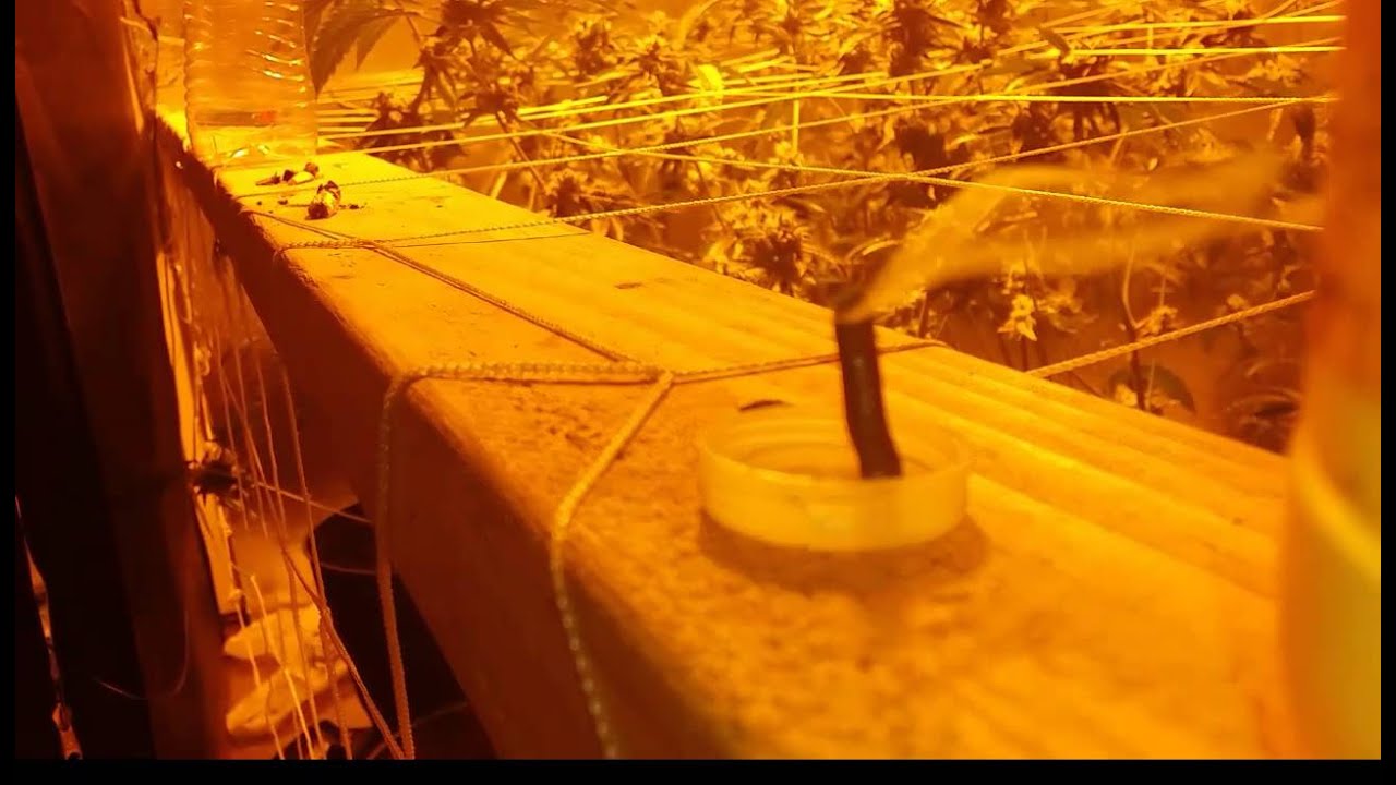 The reverse gravity bong