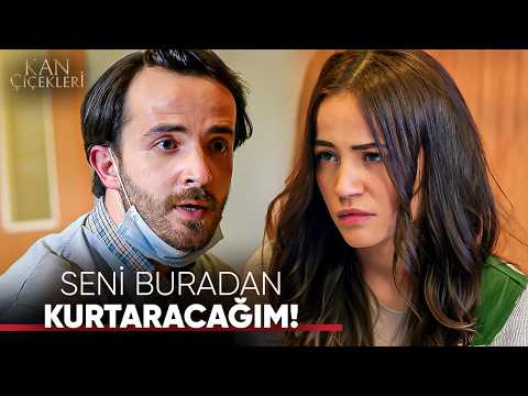 DİLAN'I HASTANEDEN KAÇIRDILAR! | Kan Çiçekleri