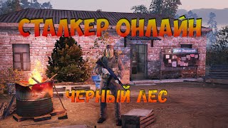 Сталкер онлайн ОБТ | Черный лес | Запись стрима с trovo #16