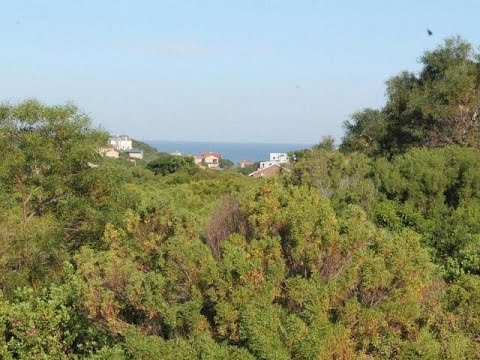 Vacant Land For Sale in Forest Downs, Port Alfred, Eastern Cape, South Africa for ZAR 165,000