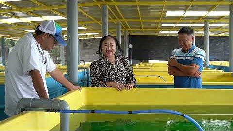 Trại sản xuất cá giống Vạn Tín - Khánh Hoà, mô hình chuyển đổi xanh.