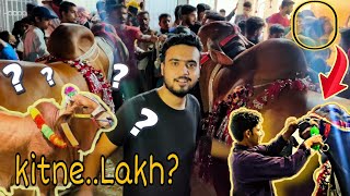 Karachi Heavy Bullskarachi Mandibakra Mandi2021Our Town Cow Karachi