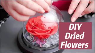 【DIY】Dried Flower DIYS | aesthetic gifts & decor ideas 🌸