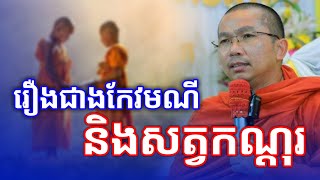 រឿងជាងកែវមណី និងសត្វកណ្តុរ សំដែងដោយព្រះធម្មវិជ្ជា ជួនកក្កដា/Choun Kakada Top