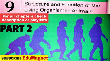 DAV CLASS 6 SCIENCE CHAPTER 9 STRUCTURE AND FUNCTION OF LIVING ORGANISMS- ANIMALS EXPLANATION PART2
