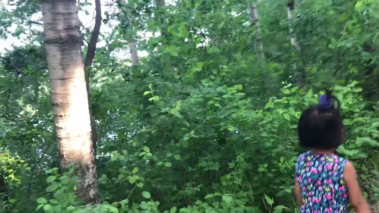 Hiking , Lebanon Hills Regional Park YouTube