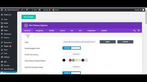 Where to apply Custom CSS to Divi website - Divi Theme Options