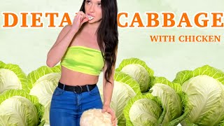 Part1. Delicious Cabbage Recipe From Babydi