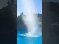 Skydiving with NO PARACHUTE #sports #diving