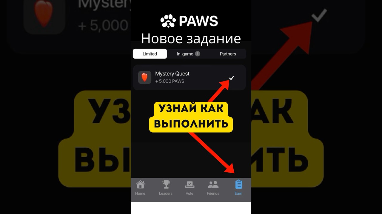 Paws новое задание от 21 11 2024 #paws новое задание #как выполнить ...