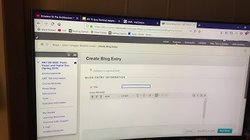 Resize pictures inside blackboard