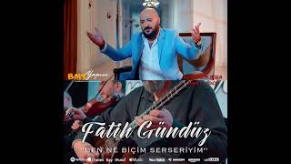 Fatih Gündüz - Ben Ne Biçim Serseriyim Resimi