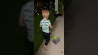 Catching Lizards