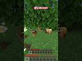 النحل بماين كرافت Minecraft ماين كرافت Gaming 