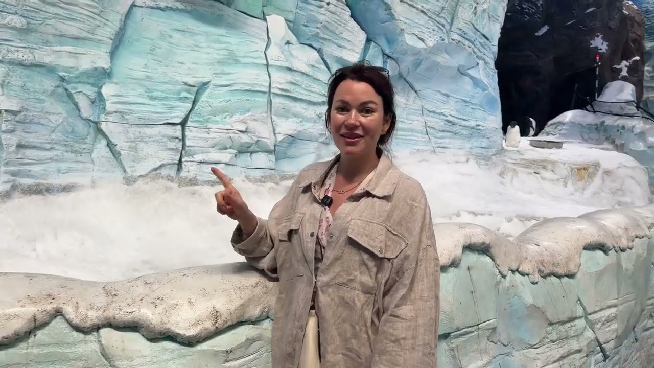 ВЛОГ: Этот парк должны посетить все! Мои впечатления от SEAWORLD и WARNER BROS