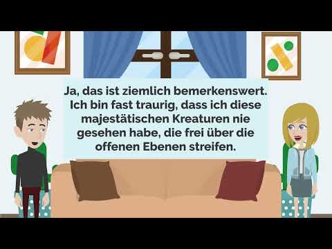 🇩🇪 German Practice
