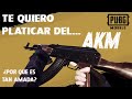 Te quiero platicar del AKM / PUBG Mobile