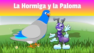 Precioso Cuento para Dormir Niños:  La Hormiga y la Paloma