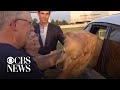 Stolen dog is found by local CBS reporter, reunited with family