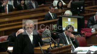 Celebrity PISTORIUS EX-GIRLFRIEND - KEPT GUN AT ALL TIMES Wealth