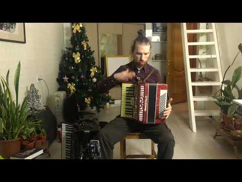 Какие бывают аккордеоны. Какой аккордеон выбрать