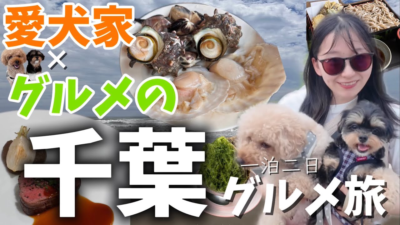 【千葉旅行】愛犬連れで行けるグルメ旅｜一泊二日のグルメvlog