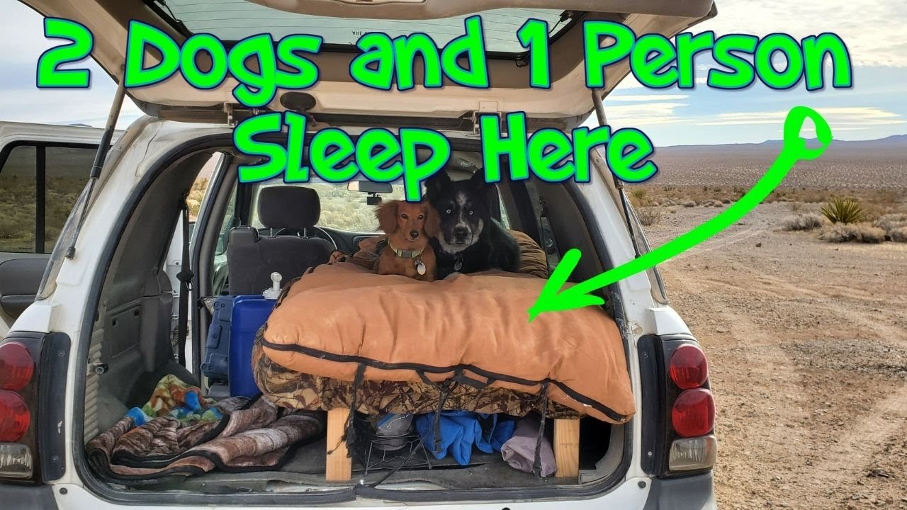 My Minimalist SUV Camping Setup Full Tour YouTube