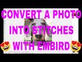 EMBIRD CLASS! Convert a photo into stitches! Embird Sfumato Stitch