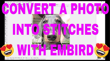 EMBIRD CLASS! Convert a photo into stitches! Embird Sfumato Stitch