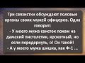 Три Связистки и Половые Органы! Сборник Самых Свежих Анекдотов! Юмор!