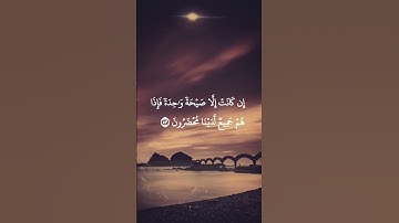 القرآن الكريم سورة يس سعود الشريم #القرآن_الكريم #راحة_نفسية #أطمئن