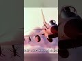 國產殲20速度驚人，超越美國F22?中國戰機技術達標！全球最快戰斗機TOP10盤點 #军事 #军事科普 #军武 #战斗机 #硬核