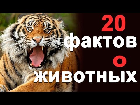 Видео: 4 факта за гнева на жените, които ще ви помогнат да го поддържате здрави