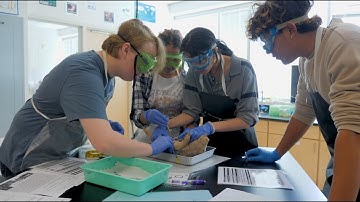 Exploring Forensic Science