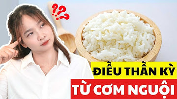 CƠM NGUỘI – Bí Quyết Kiểm Soát Đường Huyết | Bác Sĩ Hoa