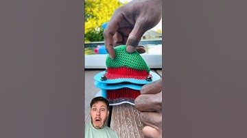 Trypophobia warning #shorts #trypophobia