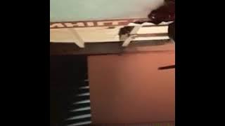 SANDRINA GOYANG DUA JARI KARAOKE TANPA VOCAL REMIX