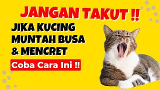 Wajib Tau !! 10 Penyebab Mengapa Kucing Muntah dan Mencret Serta Cara Mengatasinya