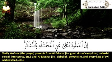 029: Surah Al Ankabut | Sheikh: Hatem Farid Alwaer | سورة العنكبوت | القارئ الشيخ: حاتم فريد الواعر