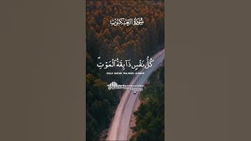 عبد الرحمن مسعد 😌 كل نفس ذائقة الموت ثم إلينا ترجعون🤲سورة العنكبوت - Surah Al-'Ankabuut