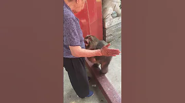 You Said You Wanted To See The Whole Fat Ball It Felt Like A Child Grandma Slapped It Gently To S 