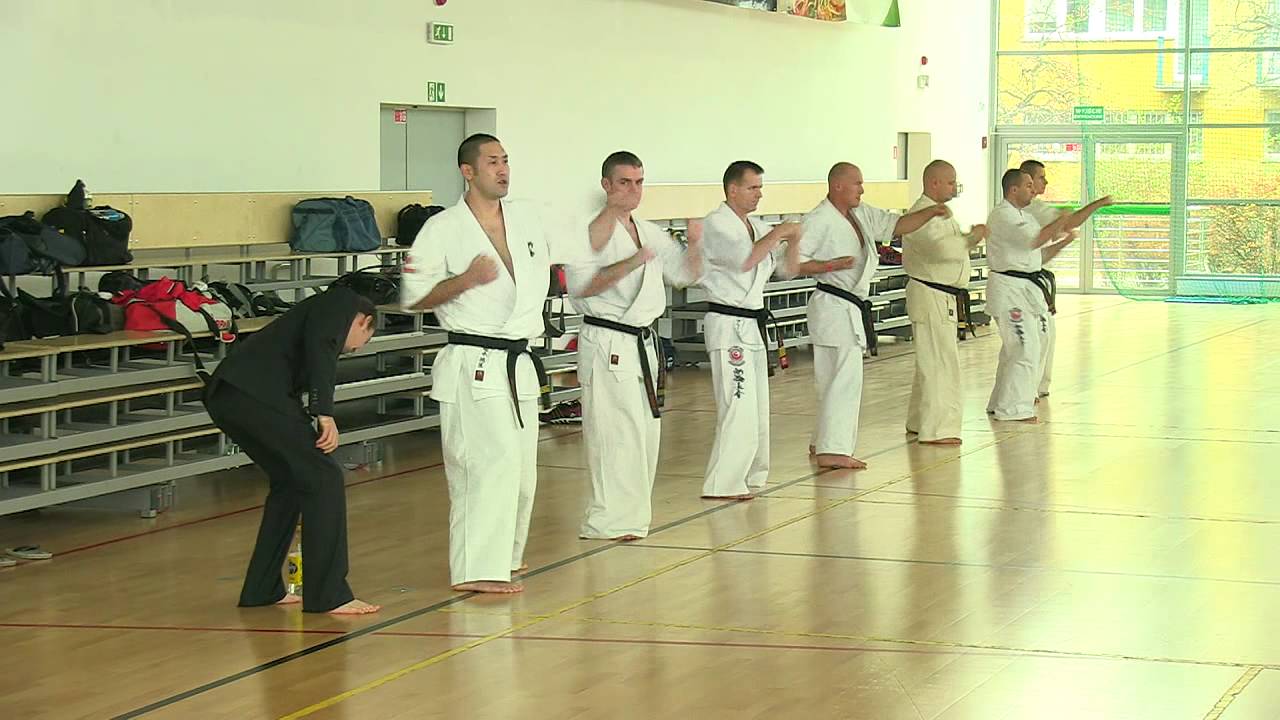 Warsaw seminar with Tsukamoto-sensei 2011 part 1,
