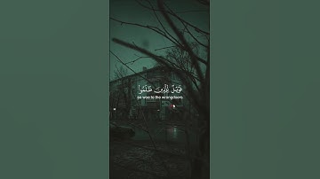 فويل للذين ظلموا من عذاب يوم أليم || القارئ المنشاوي || حالات واتس اب #قرآن